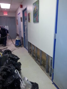 commercial mold testing