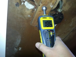 residential mold inspection