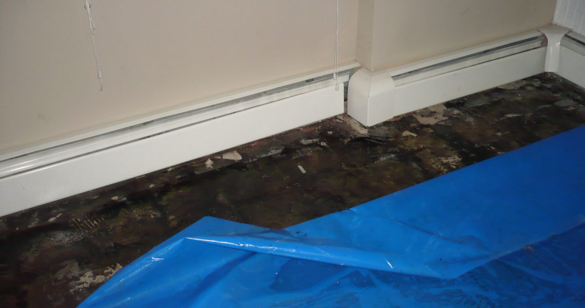 Mildew Odor Removal Advisement