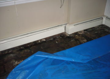 Mildew Odor Removal Advisement