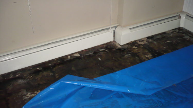The team at New York Indoor Air Quality Solution offers top quality advisement for mold and mildew odor removal for home and business owners on Long Island.
