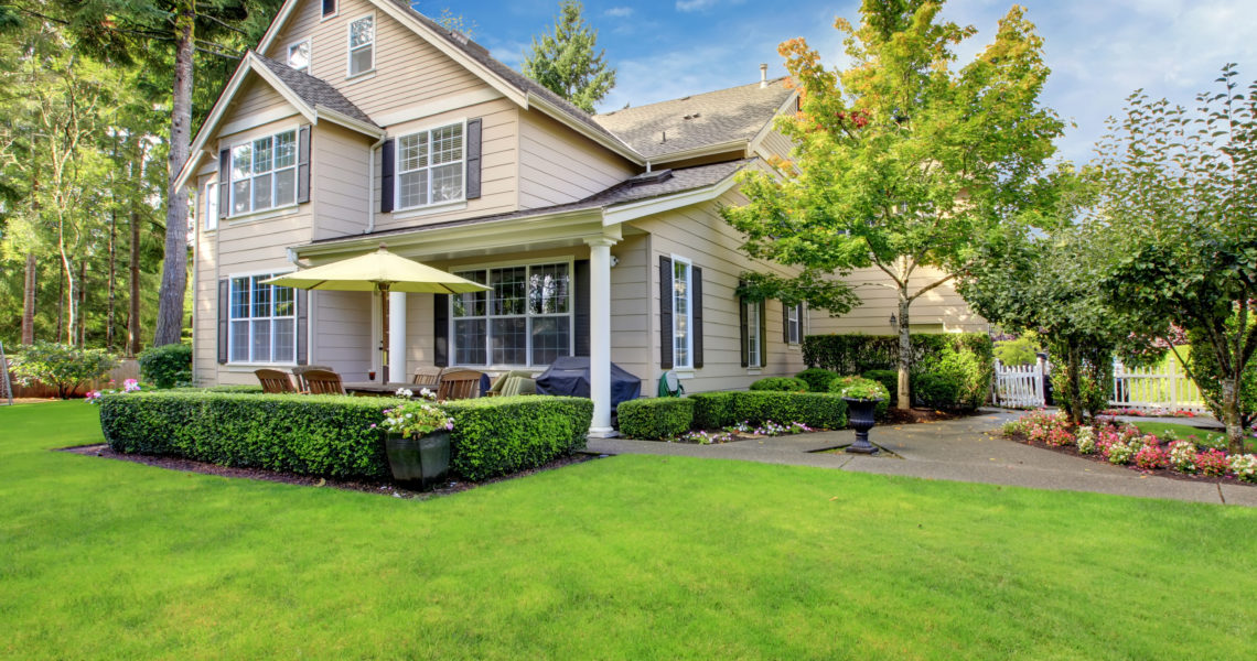 10 Reasons Why You Need Professional Mold Testing and Inspection