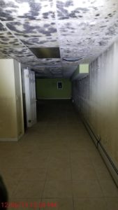 mold in a hallway
