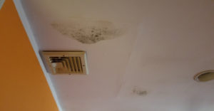 Moldy Ceiling