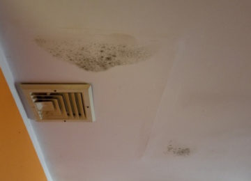 Don’t Take A Risk: 10 Signs of Mold Illness