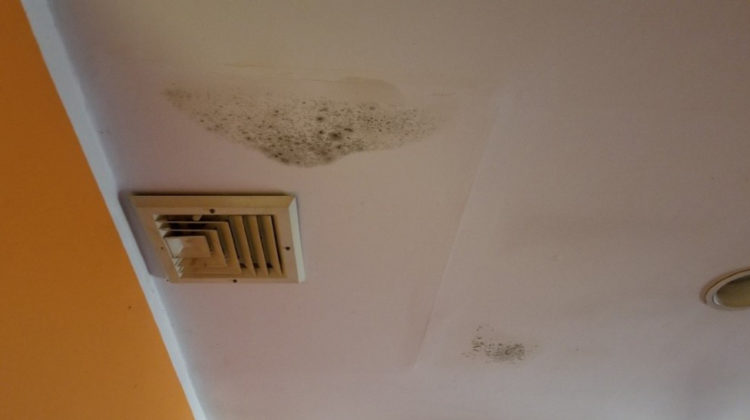 Indoor Air Quality offers reliable mold testing, remediation, cleanup and removal for clients throughout Long Island. Testing for mold is important, because it is not something that is easily discoverable. And the ramifications of mold in a home or office building can have detrimental effects on your health.